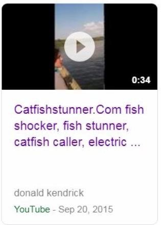 video in action fish stunner